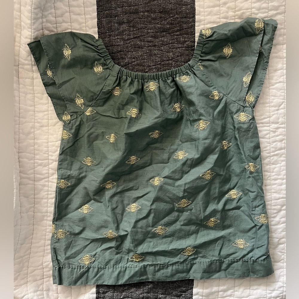 ☀️ Gymboree Peasant Top embroidered Queen Bee Sz 2t Green